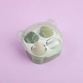 Set of 4 soft green gradient makeup sponges in a clear bear-themed storage case - Set of 4 - Premium / Lime Green