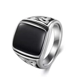 Vintage silver steel wolf seal ring for men featuring black stone and Celtic knot patterns - US 8 / Style 2