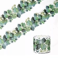 Eucalyptus leaf bulletin board border sticker roll for classroom blackboard decoration - 7.6CM*5M