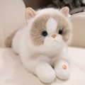 Realistic white and brown ragdoll cat plush toy with blue eyes and meowing sound feature - 50cm No Bib / Brown & White