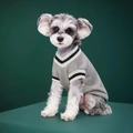 Gilet en tricot gris pour chien avec col en V et rayures noires et blanches élégantes - XS / Gris