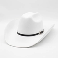 Klassieke witte western cowboyhoed met zwarte lederen band op lichtgrijze achtergrond - M (56-58cm) / Wit