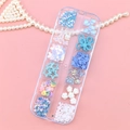Macro view of 12-grid organizer box with blue and white butterfly nail art charms - Blue Aurora Glitter Mixed Style (T-341)