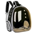 Transparent cat backpack carrier in black and white with breathable ventilation holes - Black Transparent Brown Tint