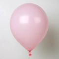 Matte cherry blossom pink latex balloon set with support rod for party decoration - 10 Inch 2.2g Macaron Pink