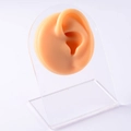 Flesh-colored silicone ear model for piercing display on clear acrylic stand - Flesh-Left Ear