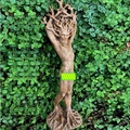 Escultura artística de diosa del bosque espíritu de árbol para decoración de jardín - W31 Hombre-Marrón
