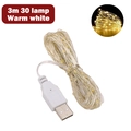 3m warm white LED copper wire string lights with 30 LEDs and USB power interface - 3m 30 LEDs / Warm White