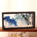 Rectangle black wooden frame with blue dried flowers and teal fern leaf specimen - 26x13x6cm / Black