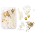 Flat lay of dried flowers material kit including white hydrangea and eucalyptus for DIY crafts - 03 Dried Flower 1 Box 26g