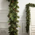 Ghirlanda natalizia in PE da 200cm con pigne e eucalipto per decorazione di porte - Festone PE-200cm (Senza Luci)