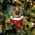 Drahthaar-Schäferhund mit Rentiergeweih in roter Weihnachtssocke als Baumschmuck - Deutscher Schäferhund Typ 3