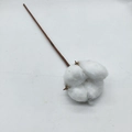 Gedetailleerde close-up van een katoentak voor kerstdecoratie en interieurstyling - Enkele katoenen stengel