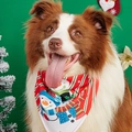 Christmas pet bandana with snowman print in festive red and green for medium large dogs - Green Base Striped Snowman Style
