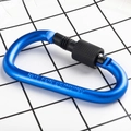 Blue D-ring aluminum carabiner with screw lock and NOT FOR CLIMBING safety warning - Dark Blue
