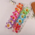 Transparent Spray Paint 6 Colors 12 Pieces Per Pack Standard