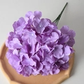 5-Head Hydrangea Purple