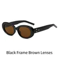 Retro oval sunglasses with black frame, brown lenses and silver star rivets on the temple - Black Frame Brown Lens