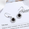 Elegant S925 silver halo earrings featuring a round black gemstone and white zircon accents - Black Diamond Four-prong Round Pouch Earrings Led-98