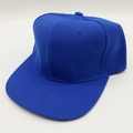 Close-up of deep blue flat brim hip hop hat showing twill cotton texture and six-panel style - One Size / Blue