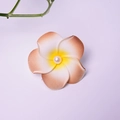 Single white plumeria hair clip with yellow center and pearl detail on purple backdrop - Brown Flower Head + Pearl [4cm]