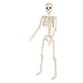 Lebensgroßes menschliches Skelettmodell in Knochenweiß für Halloween-Deko - 90cm Skelett