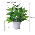 Close-up of 28cm faux pothos plant in white pot with detailed size measurements - Medium Pot + 28cm Green Radish