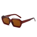 Gafas de sol retro poligonales con montura gruesa roja oscura y lentes de color té - Montura Té Lente Té