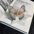 Elegant butterfly hair clip with grey gradient wings and white pearls on an open book - Pearl Glitter Butterfly / Khaki