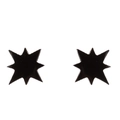 Detail shot of matte black octagonal star stud earrings made of stainless steel - Eight-pointed Star / Black
