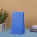 Blue kraft paper gift bag for birthday parties shown with decorative plants and books - Blue