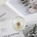 6cm Dandelion Crystal Ball Decor on Open Magazine with Natural Eucalyptus Accents - Dandelion Ball 6cm (Kraft Box)