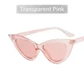 Pink transparent cat-eye sunglasses with retro frame and silver hinge accents - Transparent Pink