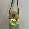 Cute Capybara brown plush crossbody bag with green bottom and adjustable strap - 24cm / Green