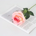 Pink gradient artificial velvet rose flower with green leaves on magazine background - Large Velvet Champagne Pink