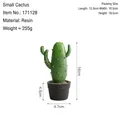 Piccolo cactus decorativo nordico in resina verde in un vaso di fiori nero opaco - Piccolo Cactus-A2-171128