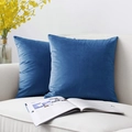 Soft blue velvet square cushion covers set on a beige sofa in a cozy living room setting - 30*50cm (No Insert) / Purple Orchid