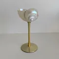 Artistieke schelp op goudkleurige standaard met parelmoerglans voor in huis - Zilveren Tulbandslak Beker met Gouden Voet [Hoogte ca. 16 cm]