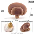 Modelo de hongo pleurotus artificial de plástico sólido de 4,8cm x 2,3cm x 4,2cm - Gírgola (T15523)