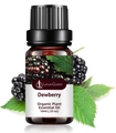 Organic dewberry essential oil in a 10ml brown glass bottle for aromatherapy - Dewberry Scented Diffuser