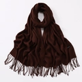 Deep brown solid scarf with elegant fringe and soft cashmere-like texture details - Chocolate