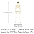 Detaillierte Größentabelle für das 165 cm große Skelettmodell mit genauen Maßen - 165CM Skelettrahmen