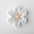 Weißer Ausstechform Schneeflocke aus Kunststoff mit dekoriertem Lebkuchenplätzchen - Schneeflocke Typ D
