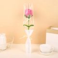 Pink handmade chenille stem rose bouquet in LOVE themed transparent packaging with bow - Trapezoid Bag-Finished-Light Pink