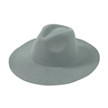 Classic grey wide brim wool fedora hat with elegant minimalist design for daily styling - One Size / Light Gray