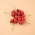 Frosted red Christmas holly berries with frosted texture and green stems for DIY decor - 1.5cm Crystalline Red Berry String