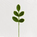Handmade crochet green leaf branch with five oval leaves crafted from soft cotton yarn - 5-Leaf Olive Branch