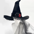 Velvet with Steel Ring + Veil