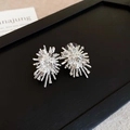 Silver firework starburst stud earrings featuring micro-set sparkling zircons - One Size / Silver Earring Post Rhinestone Flower Firework Stud Earrings