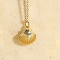 Elegant gold shell pendant necklace with zircon and fine textured oceanic design - Scallop